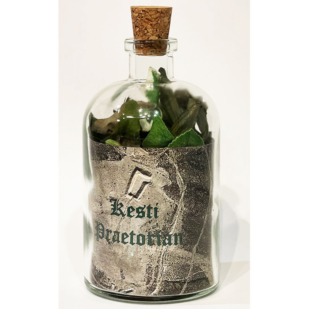<br/>Kesti Praetorian, 10/9/2025<br/>Apx 6½" x 3" x 3"<br/>glass, paper, ink, cork, plastic and cloth